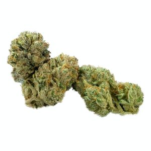 Take Off OG