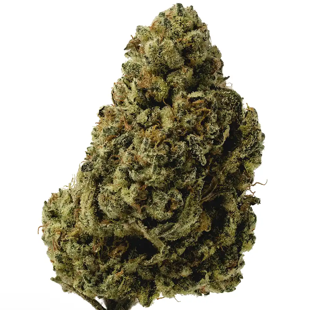 Chaos OG - Image 2