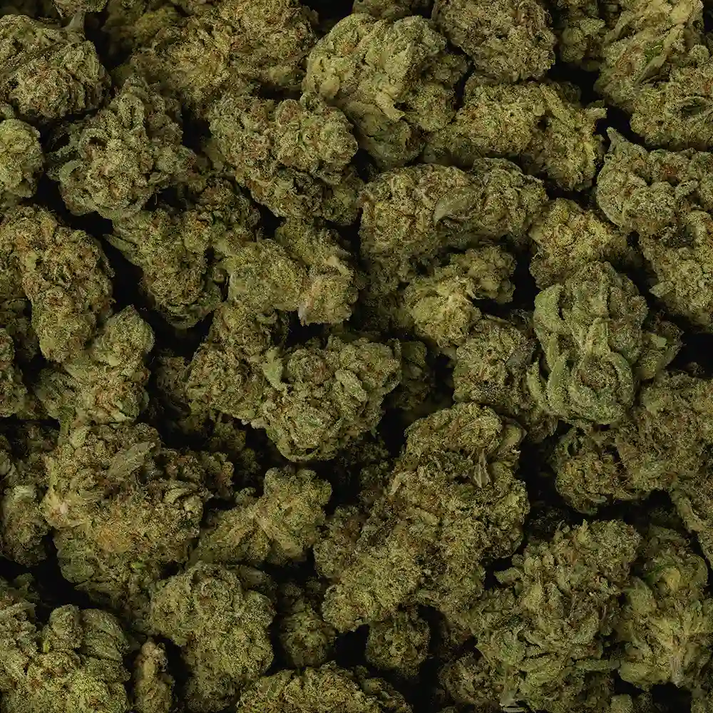 Chaos OG - Image 3