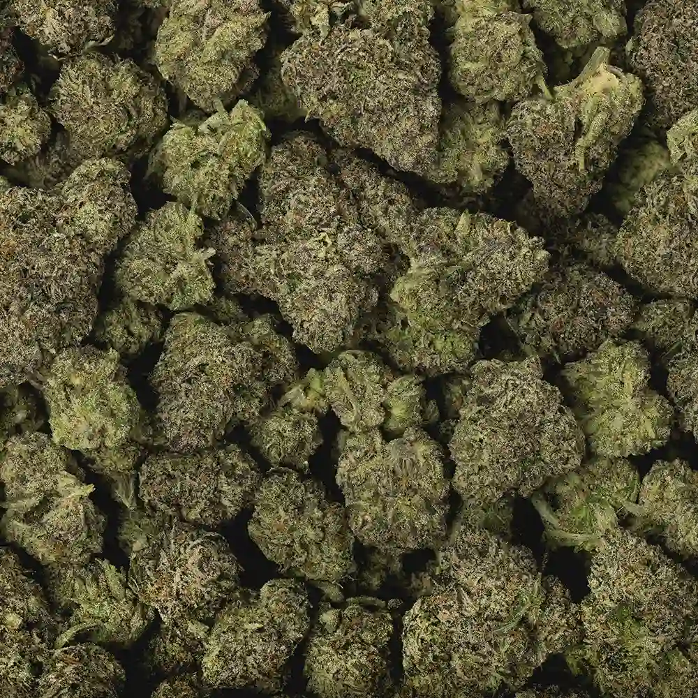 Chroma - Image 3
