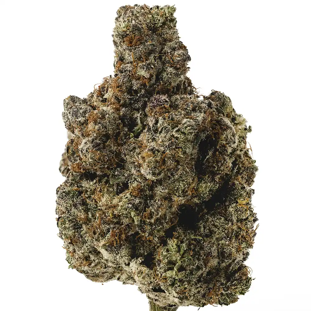 Ghost Breath - Image 2
