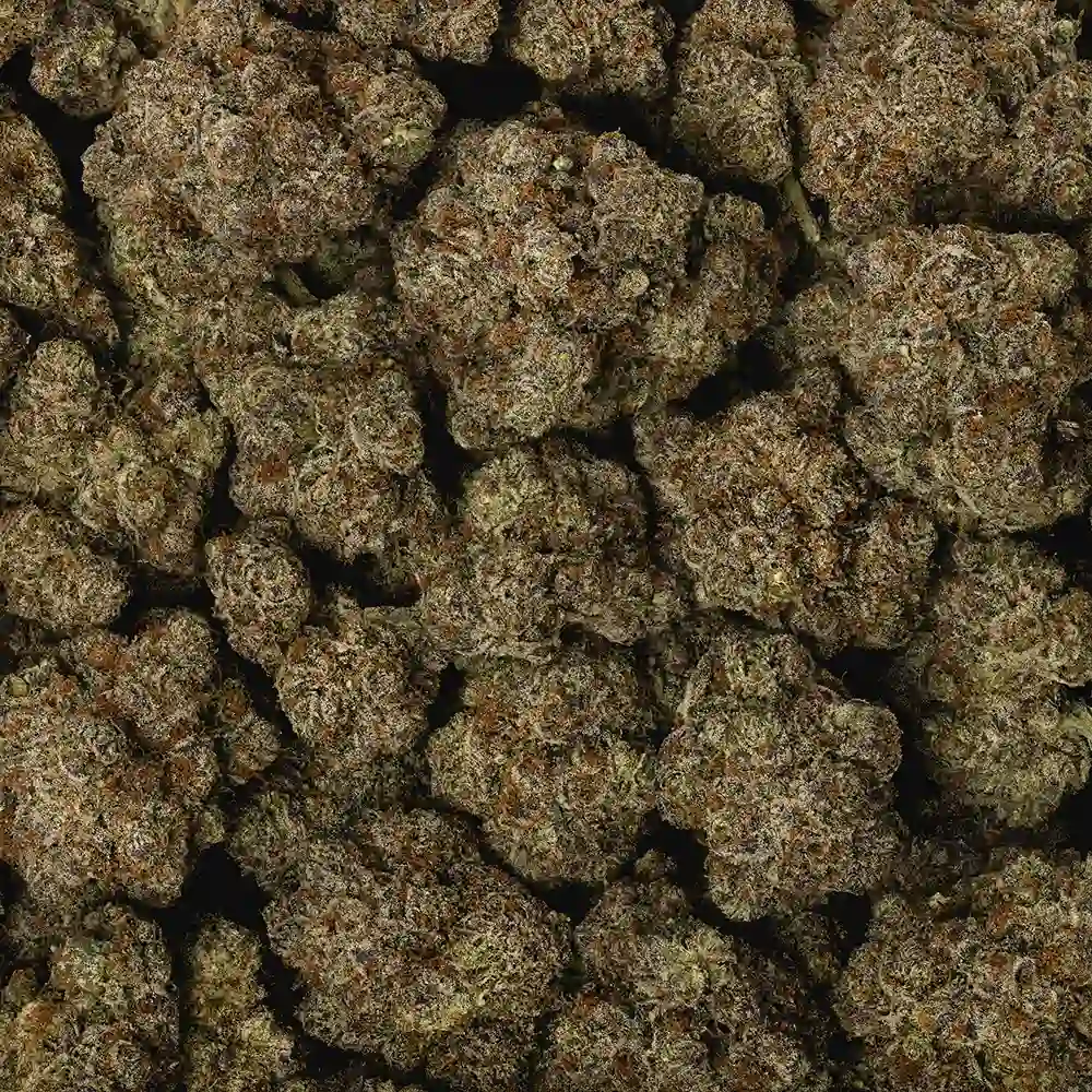 Ghost Breath - Image 3