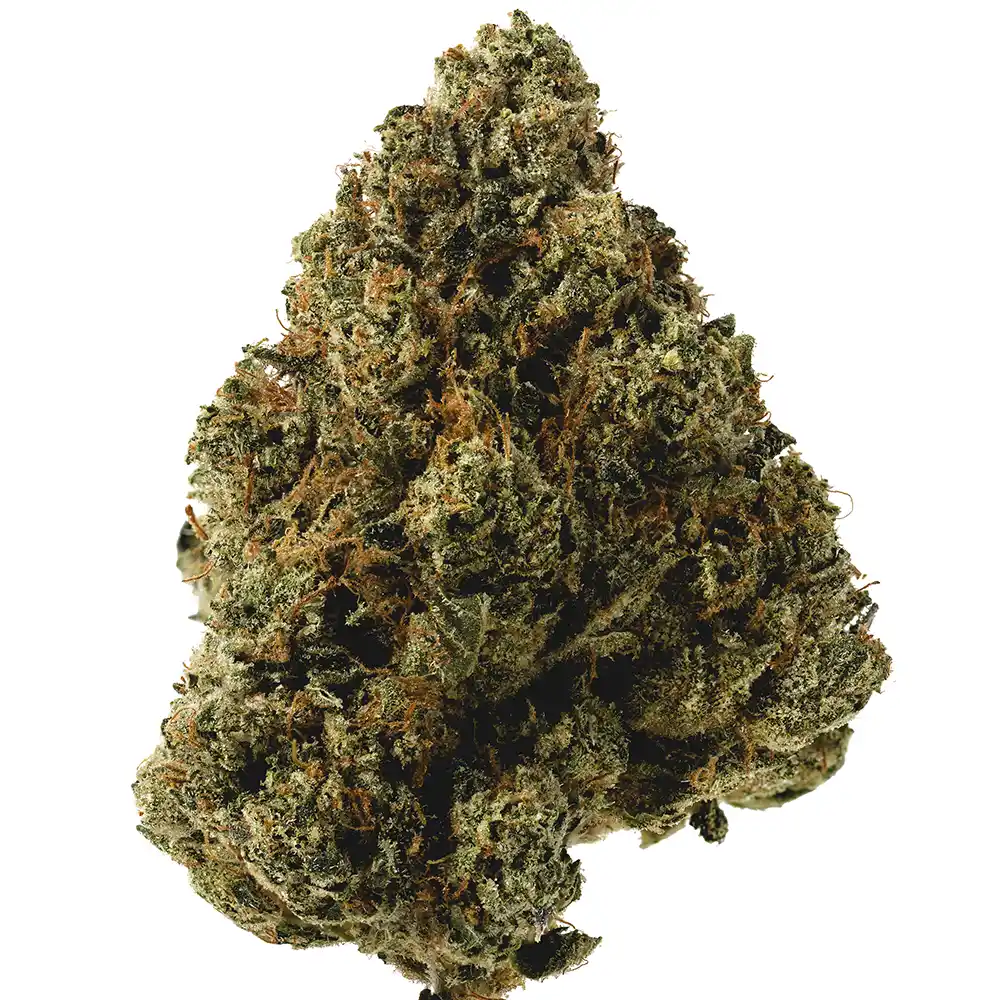 SFV OG - Image 2