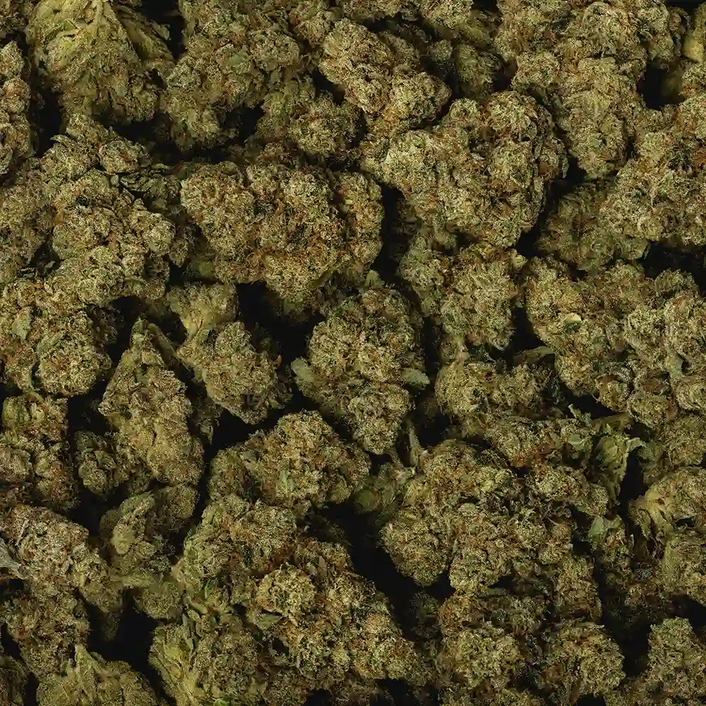 SFV OG - Image 3