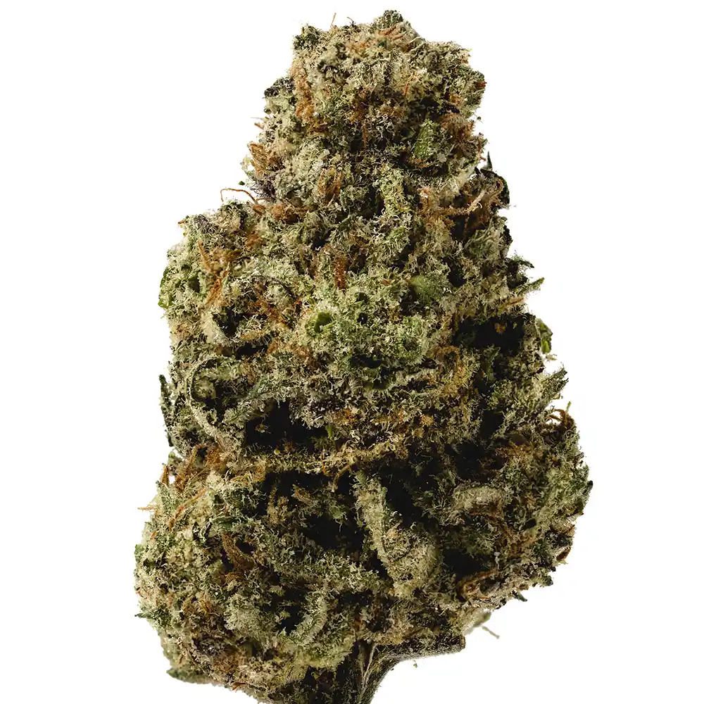 Super Lemon Haze - Image 2