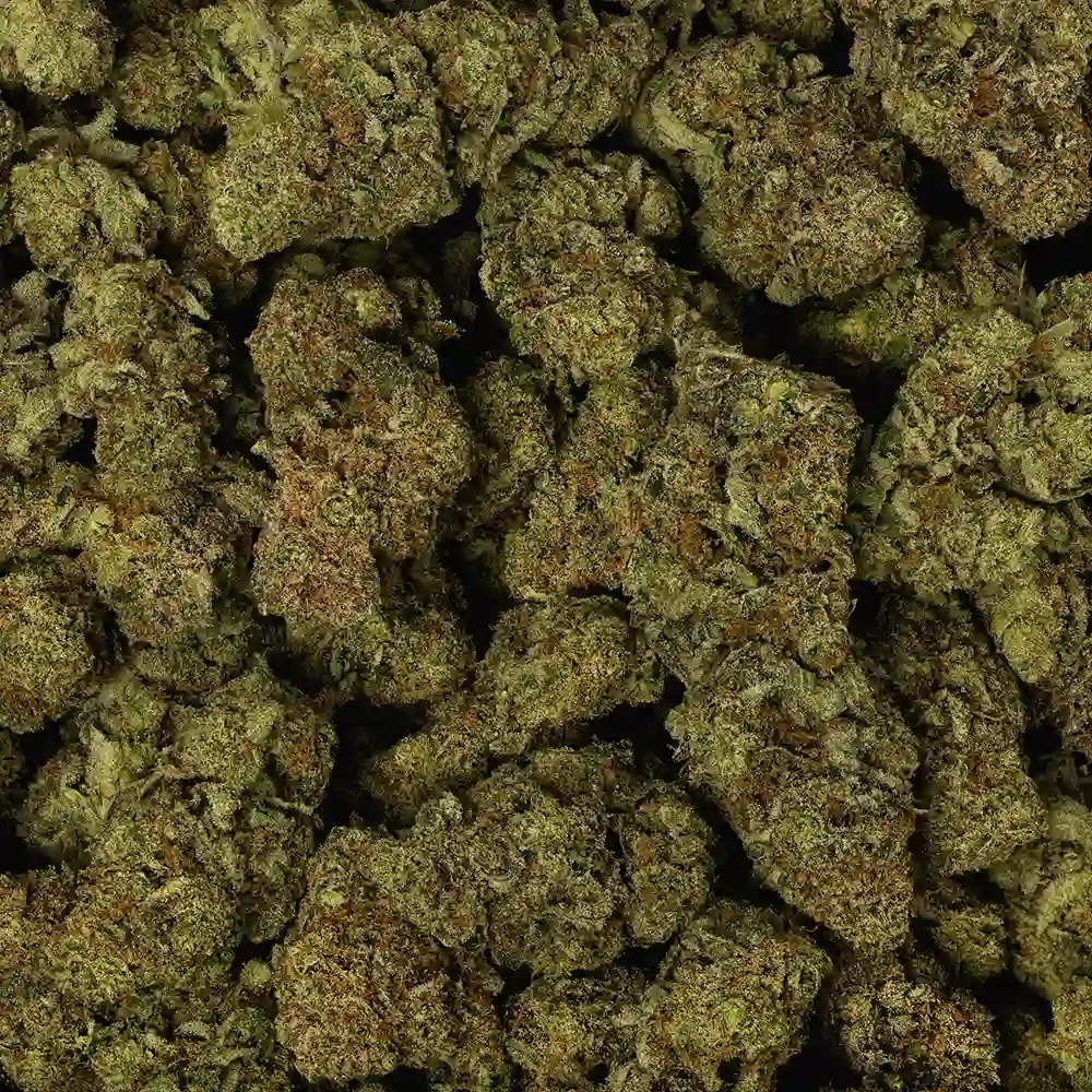 Super Lemon Haze - Image 3