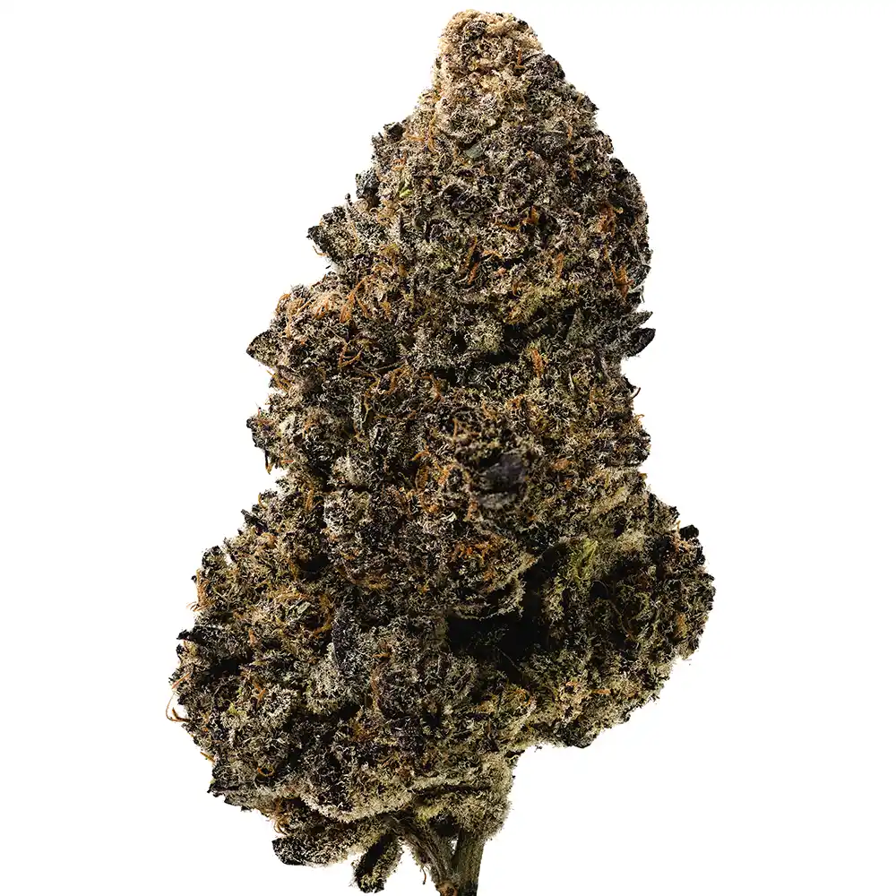 Blue Razz - Image 2