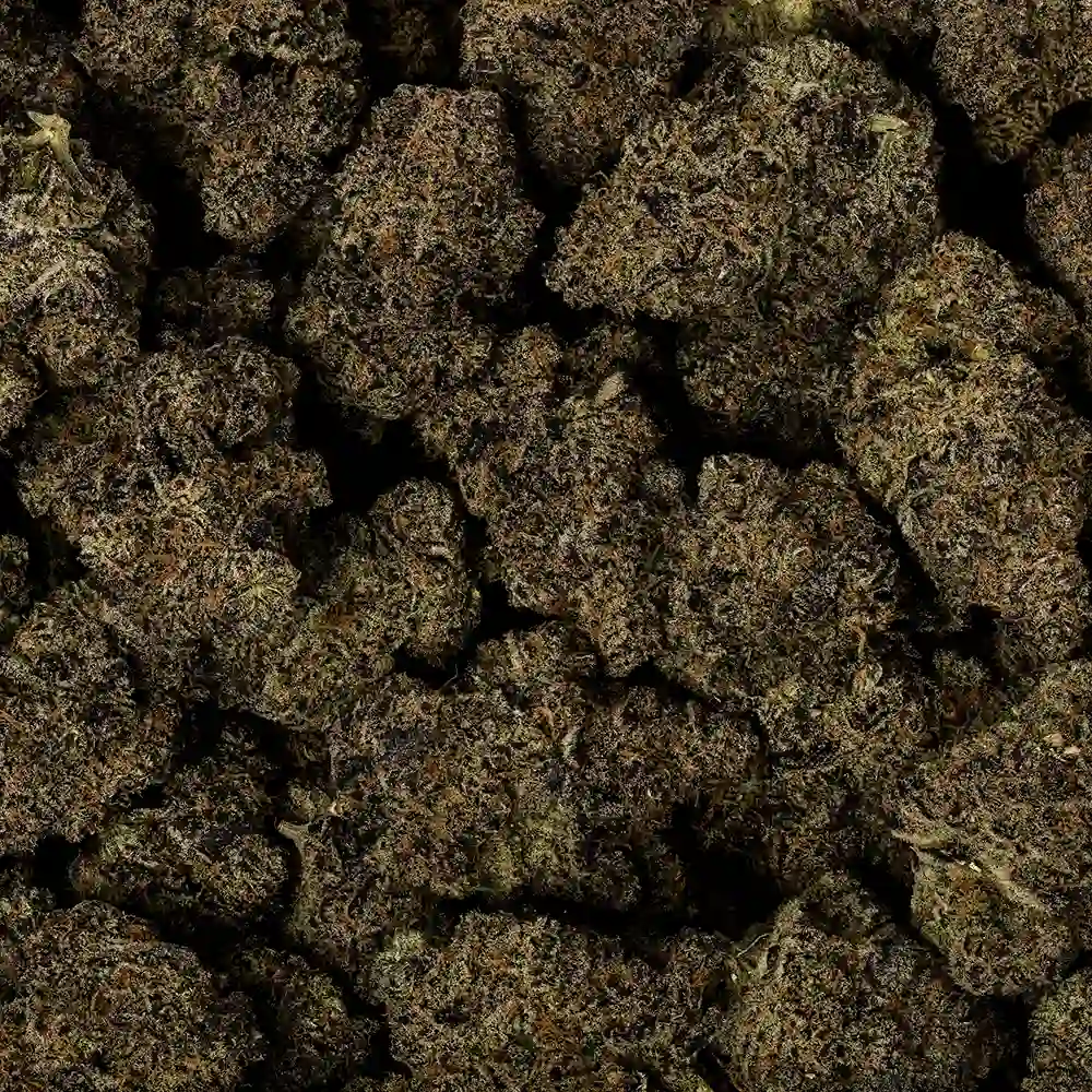 Blue Razz - Image 3