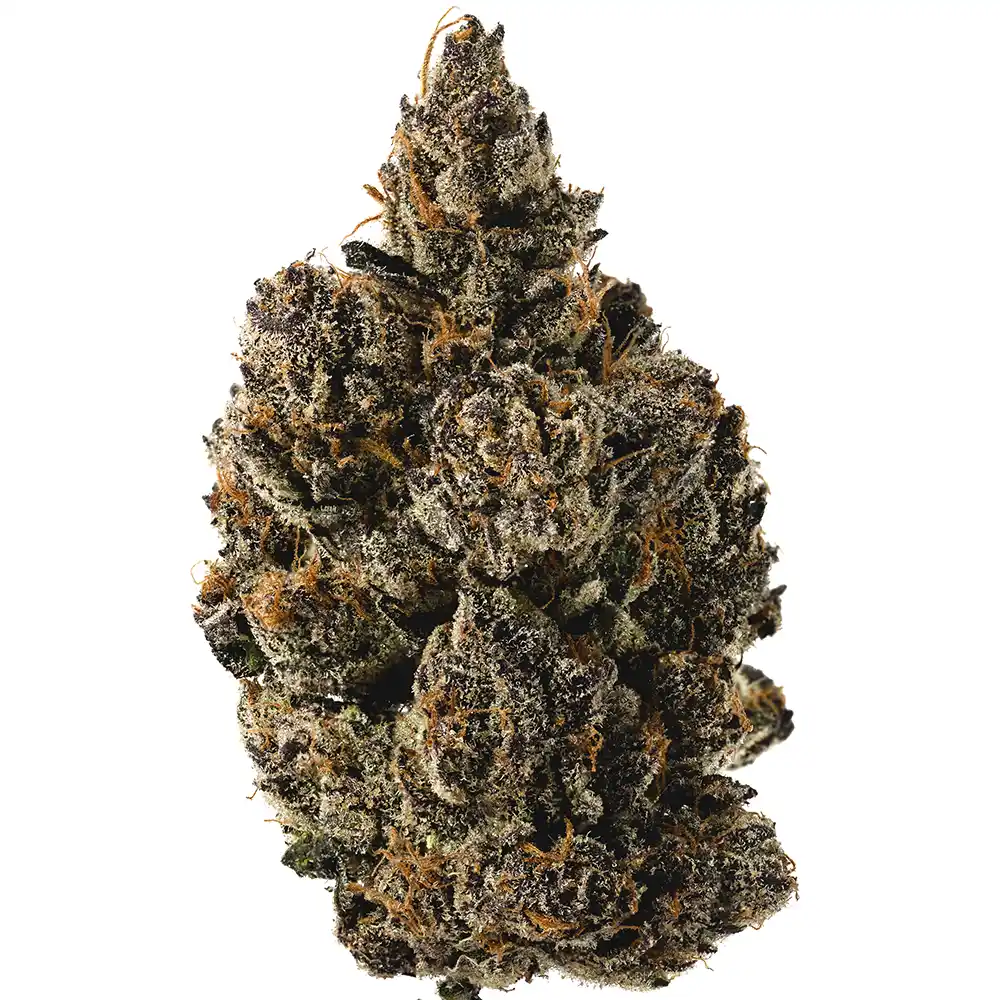 Crunch Berries - Image 2