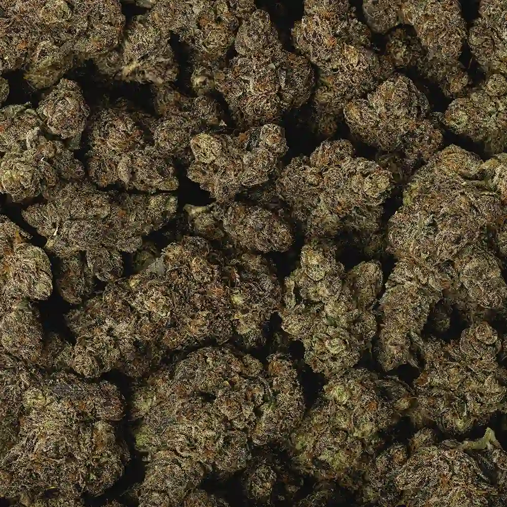 Crunch Berries - Image 3
