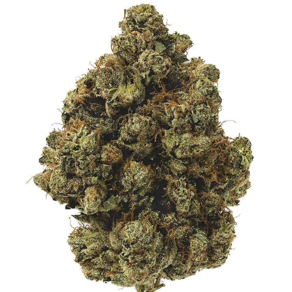 Kakarot OG - Image 2