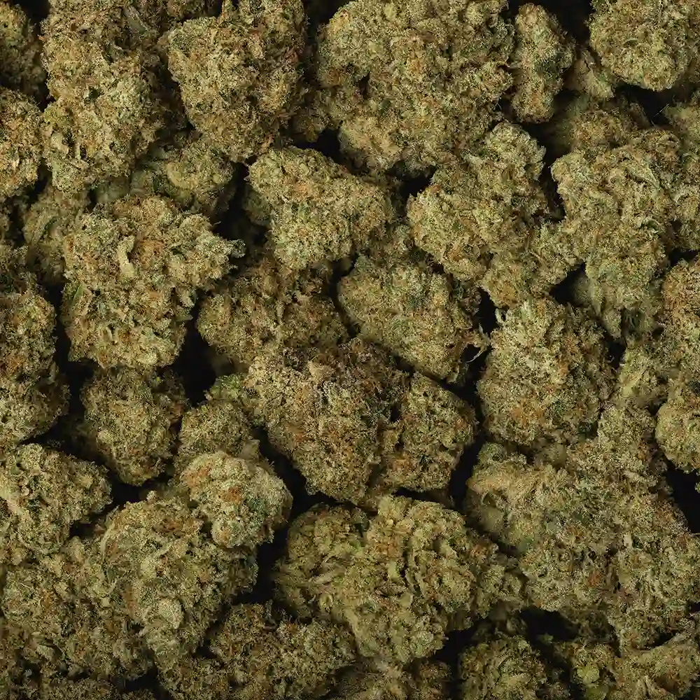 Mount Zereal Kush - Image 3