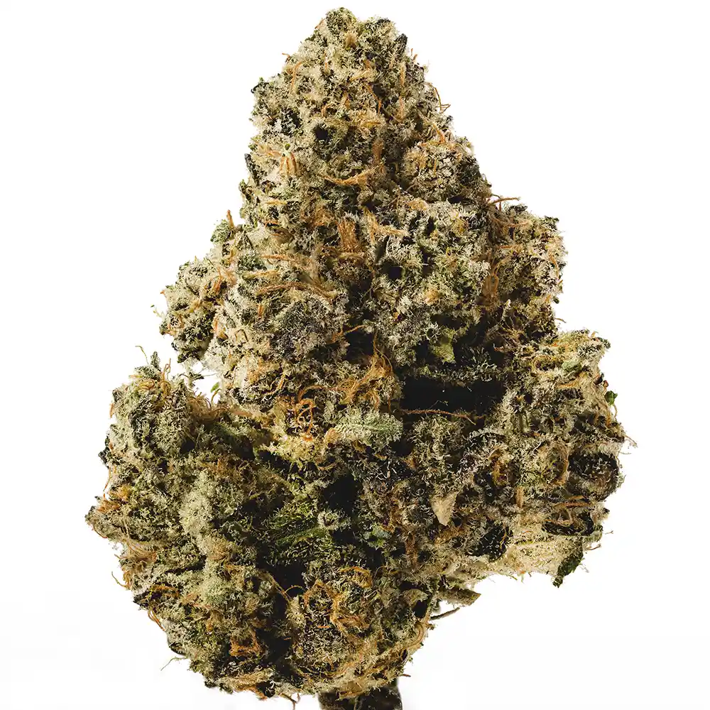 Mount Zereal Kush - Image 2