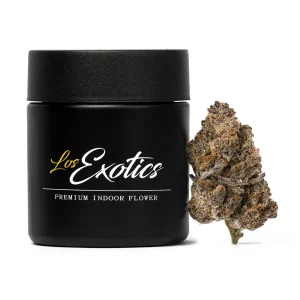 Purple Tangie