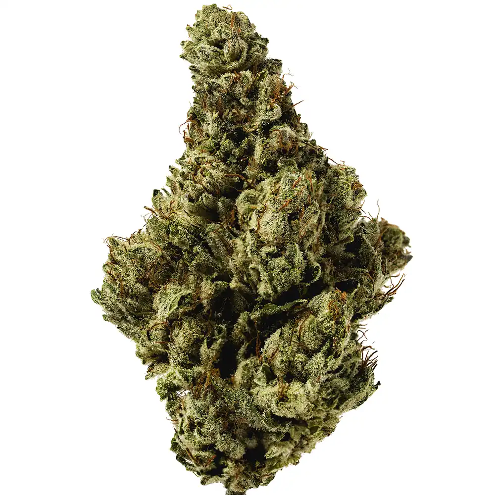 Skywalker OG - Image 2