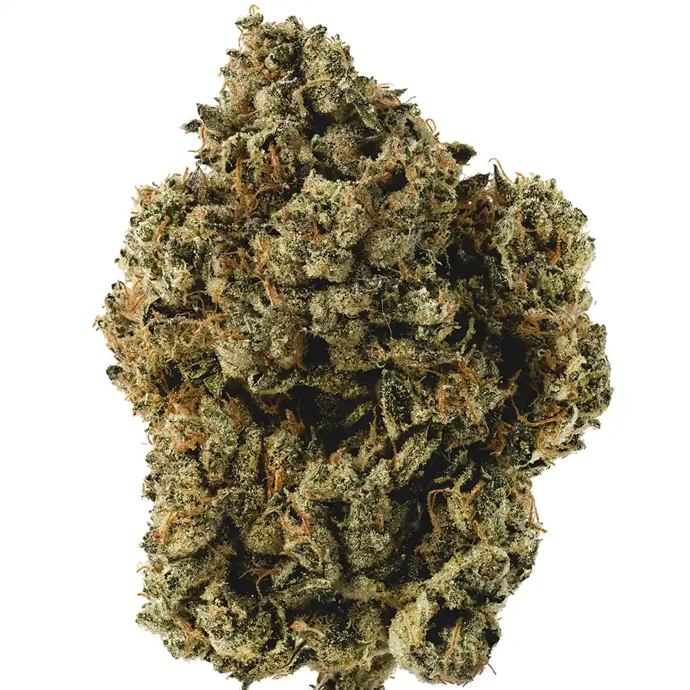 Velcro OG - Image 2