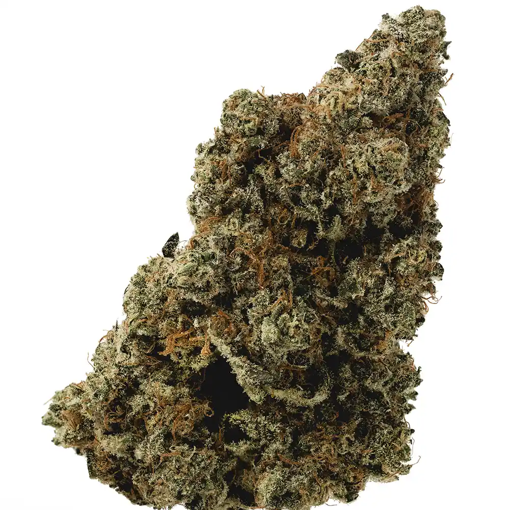 XJ-13 - Image 2