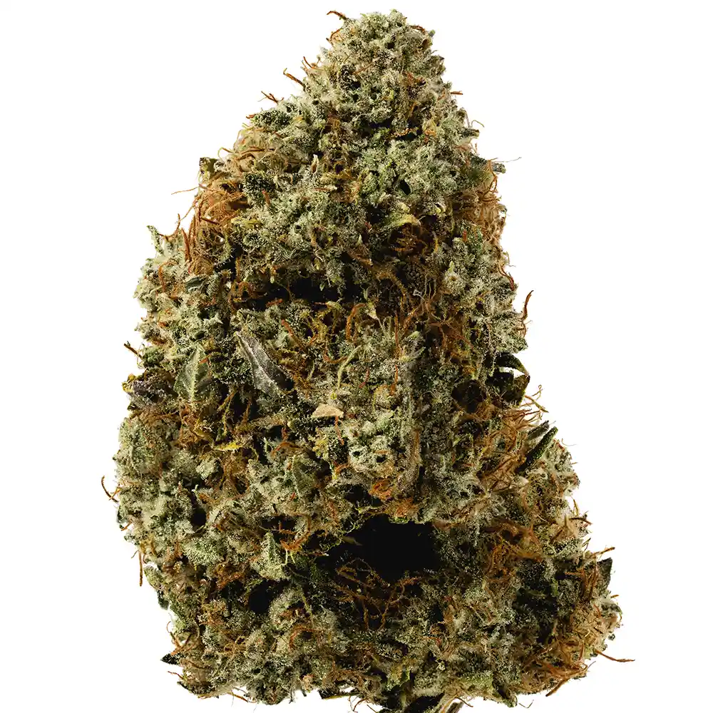 Billy Kimber OG - Image 2