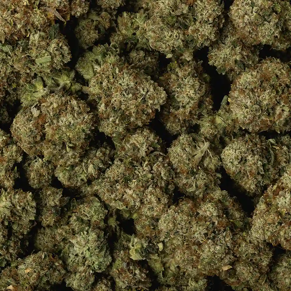 Cotton Candy Kush - Image 3