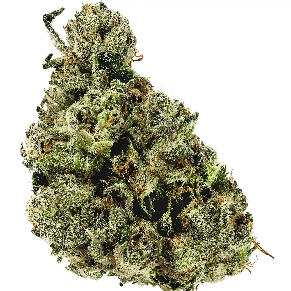 Gelato #33 - Image 2