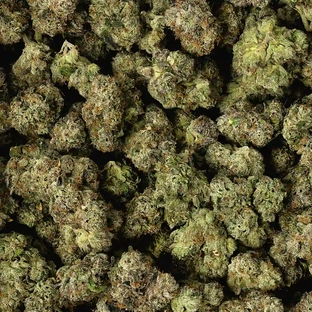 Gelato #33 - Image 3