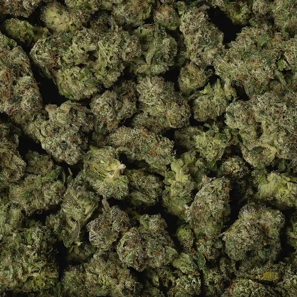 Gelato - Image 3
