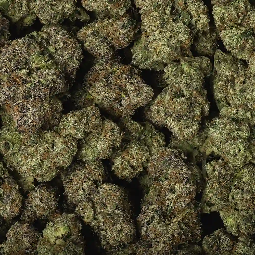 Lemon Cherry Gelato - Image 3