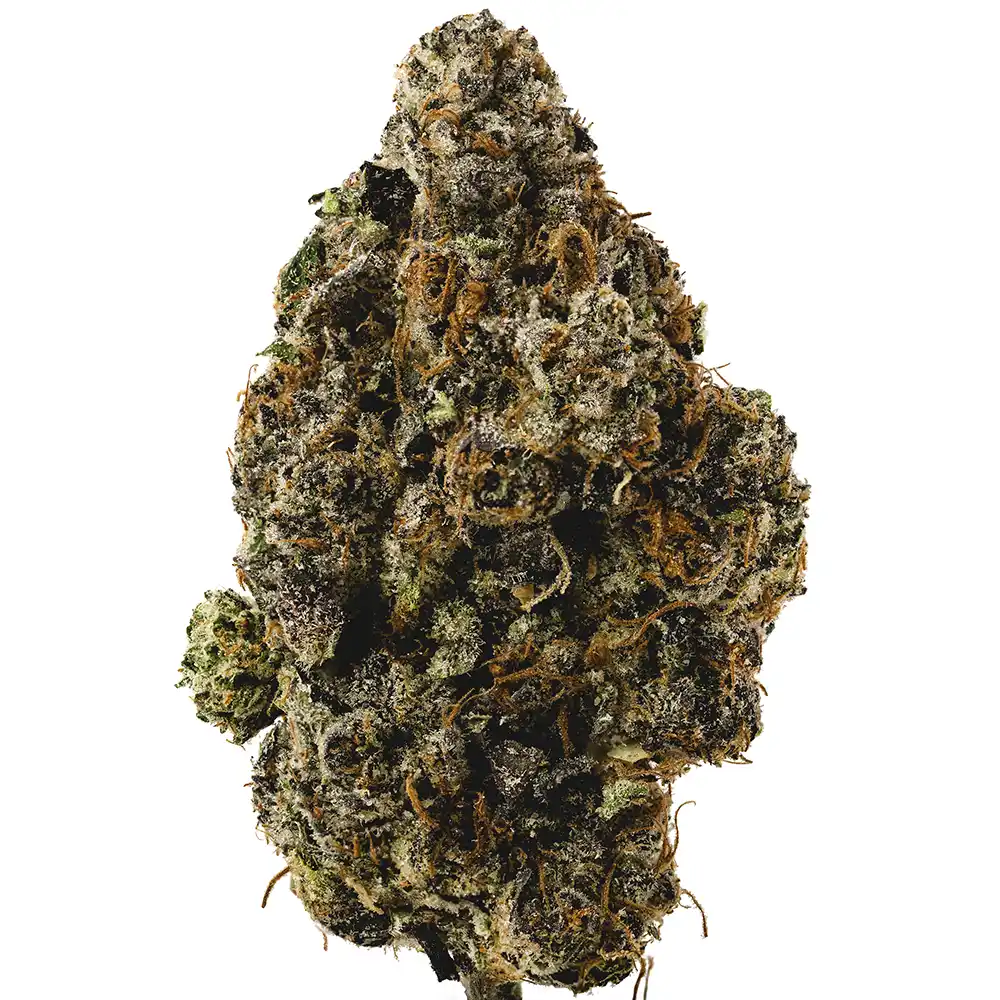 Lemon Cherry Gelato - Image 2