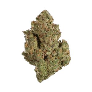Killa Gorilla
