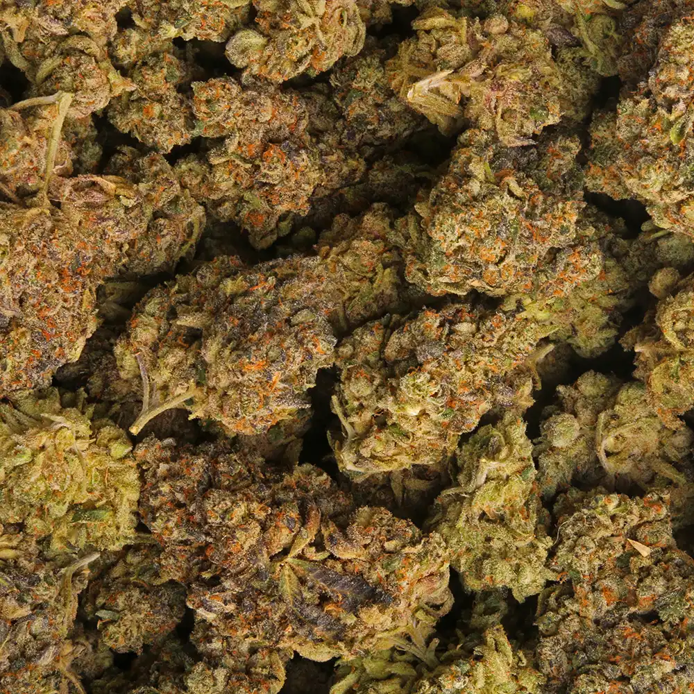 Grape Escape - Image 3